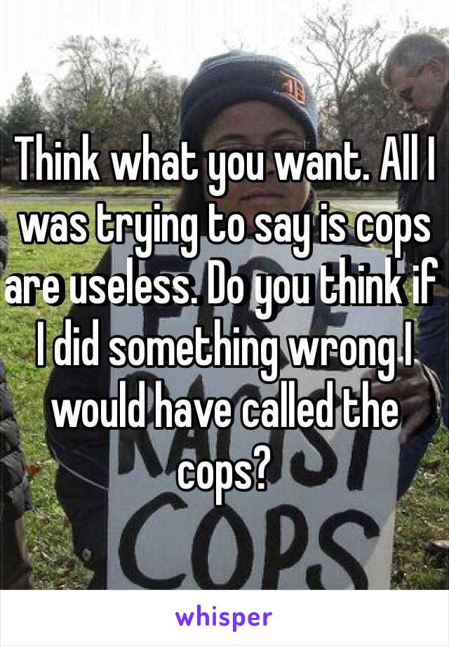 Think what you want. All I was trying to say is cops are useless. Do you think if I did something wrong I would have called the cops? 