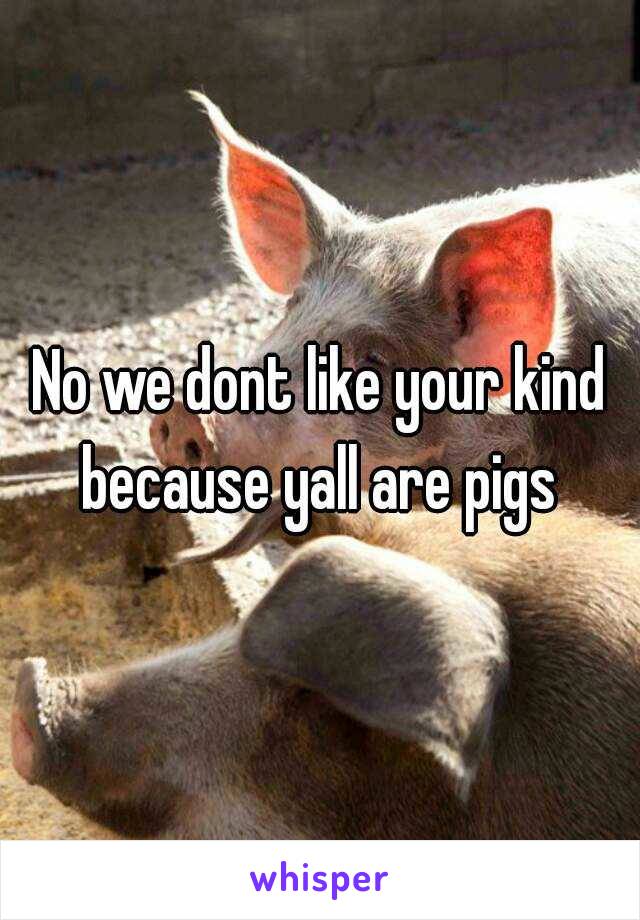 No we dont like your kind because yall are pigs 