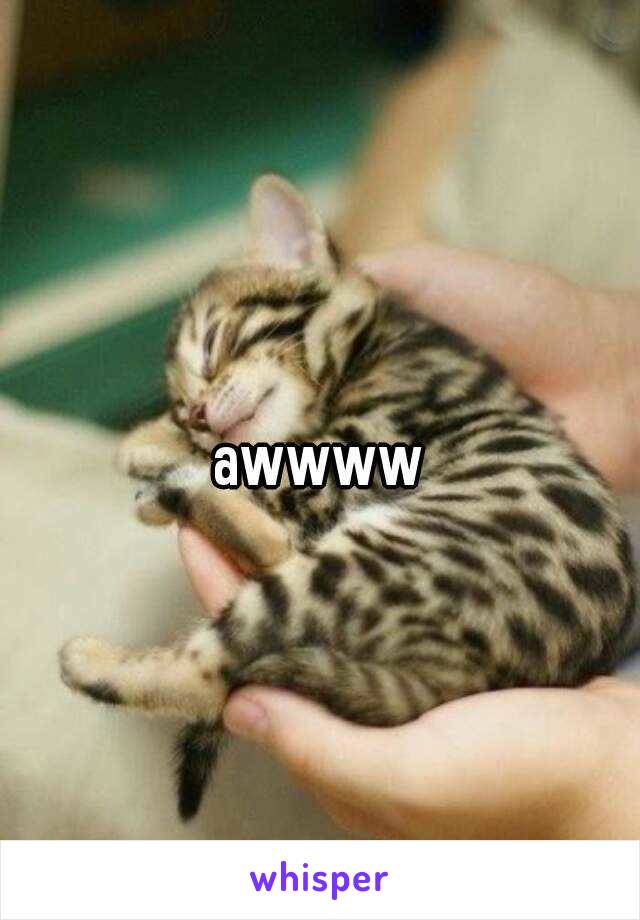 awwww