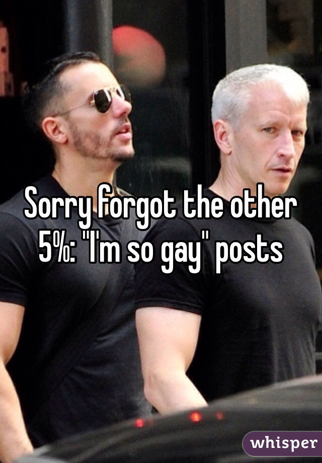 Sorry forgot the other 5%: "I'm so gay" posts