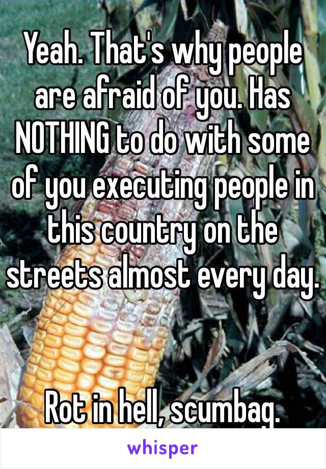 Yeah. That's why people are afraid of you. Has NOTHING to do with some of you executing people in this country on the streets almost every day. 


Rot in hell, scumbag. 