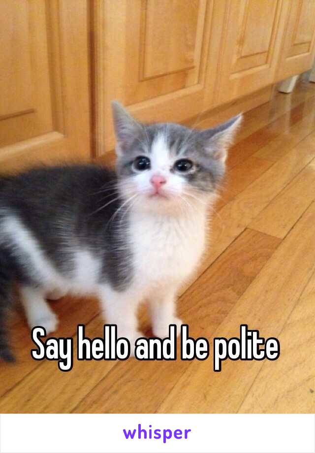 Say hello and be polite 