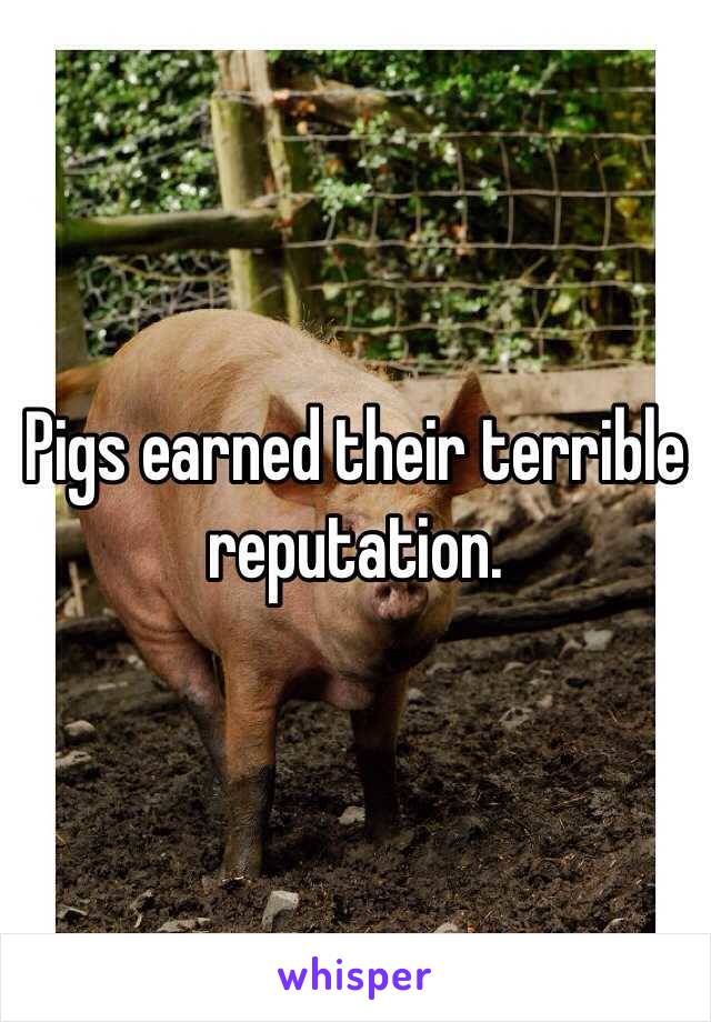 Pigs earned their terrible reputation. 