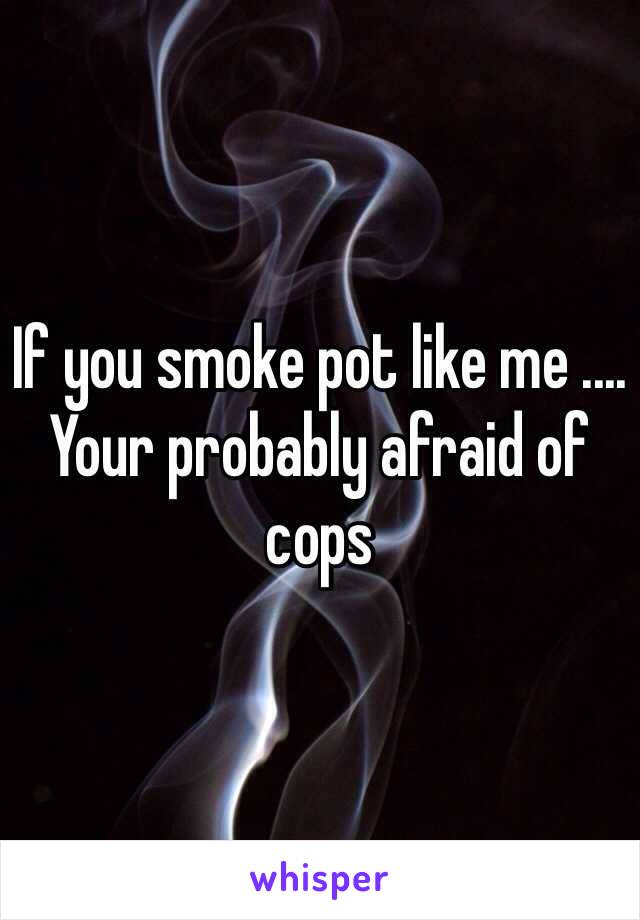 If you smoke pot like me .... Your probably afraid of cops 