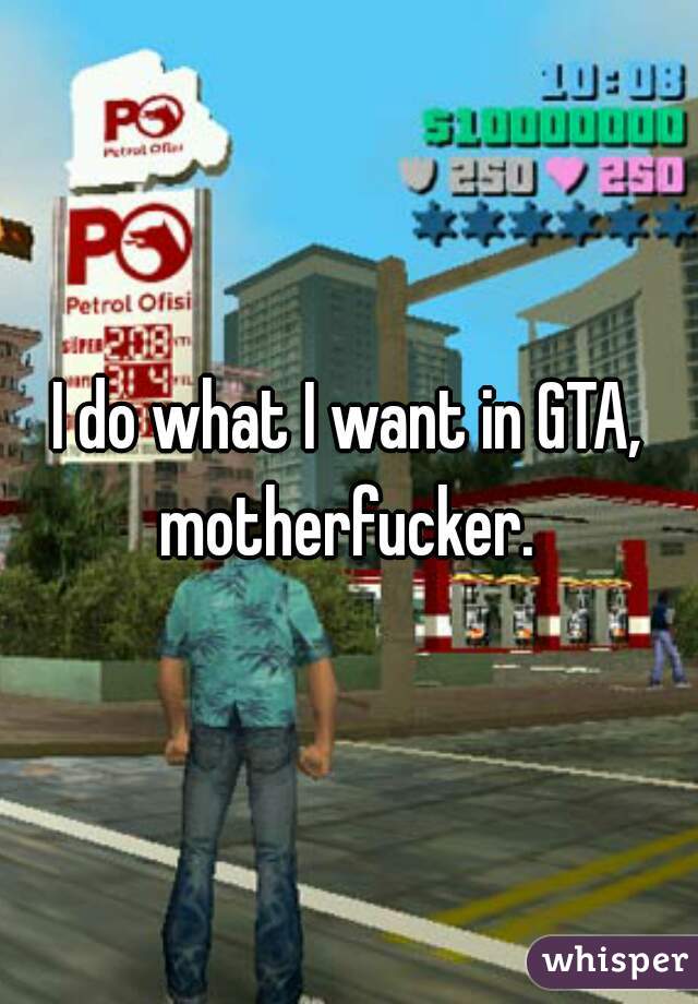 I do what I want in GTA, motherfucker. 