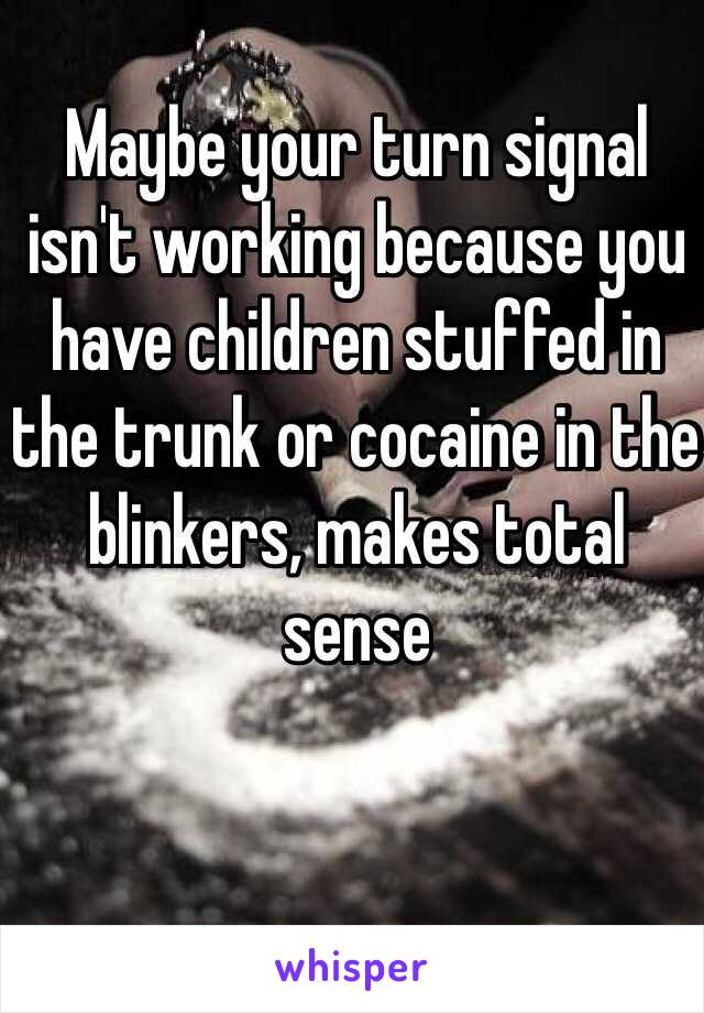 Maybe your turn signal isn't working because you have children stuffed in the trunk or cocaine in the blinkers, makes total sense