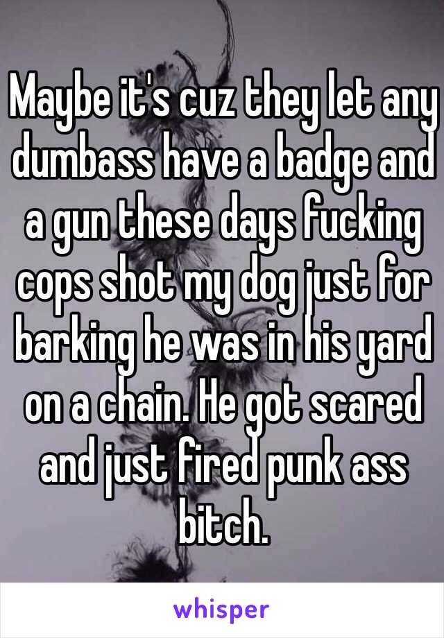 Maybe it's cuz they let any dumbass have a badge and a gun these days fucking cops shot my dog just for barking he was in his yard on a chain. He got scared and just fired punk ass bitch.