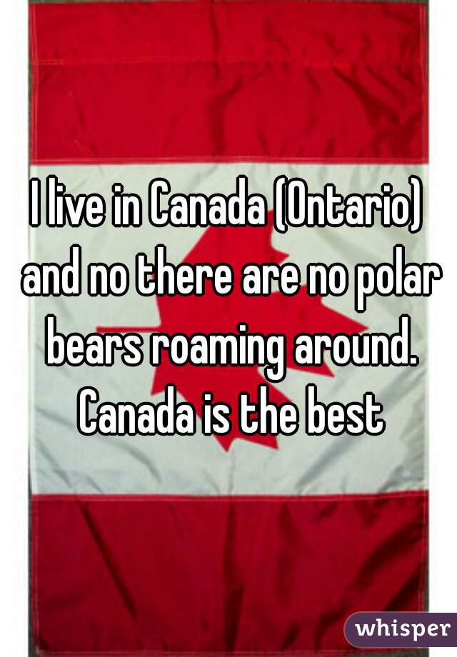 I live in Canada (Ontario) and no there are no polar bears roaming around. Canada is the best