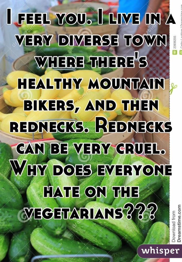 I feel you. I live in a very diverse town where there's healthy mountain bikers, and then rednecks. Rednecks can be very cruel. Why does everyone hate on the vegetarians???