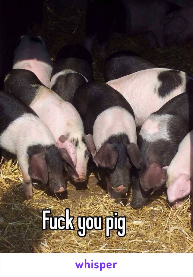 Fuck you pig