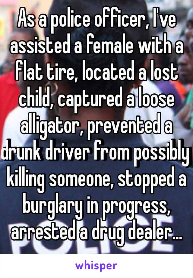 As a police officer, I've assisted a female with a flat tire, located a lost child, captured a loose alligator, prevented a drunk driver from possibly killing someone, stopped a burglary in progress, arrested a drug dealer... 