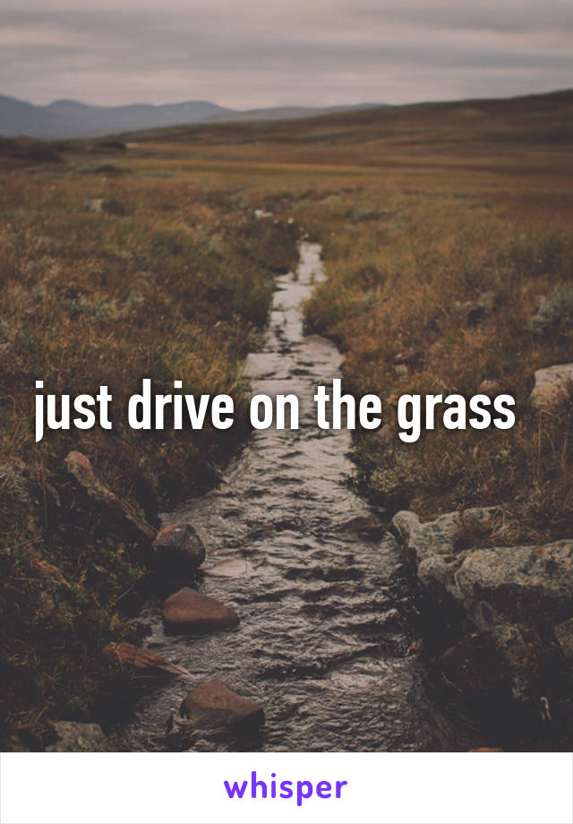 just drive on the grass  