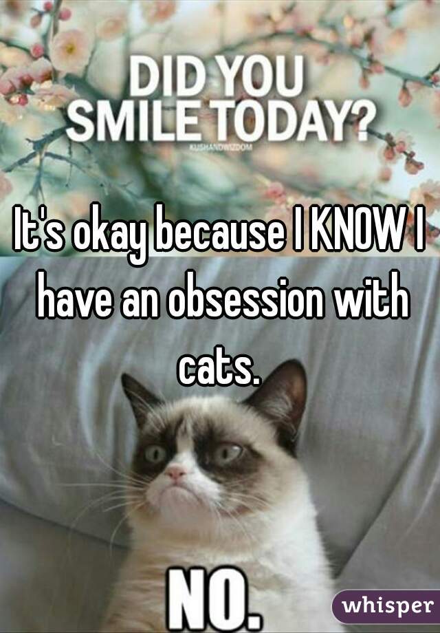 It's okay because I KNOW I have an obsession with cats. 