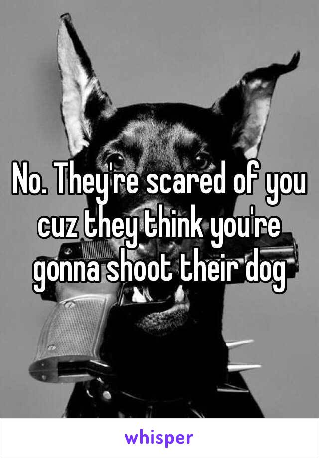 No. They're scared of you cuz they think you're gonna shoot their dog