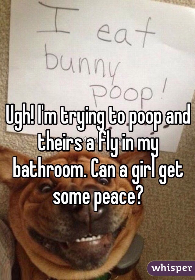 Ugh! I'm trying to poop and theirs a fly in my bathroom. Can a girl get some peace?