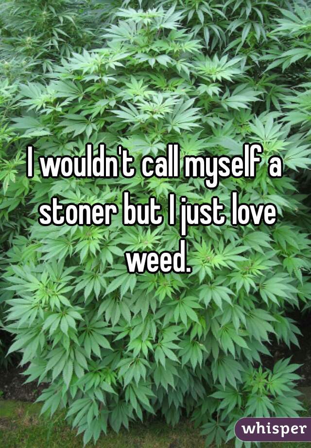 I wouldn't call myself a stoner but I just love weed.