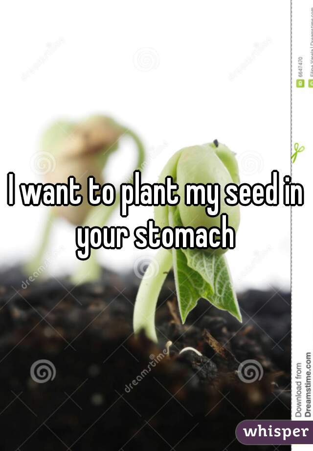 I want to plant my seed in your stomach 