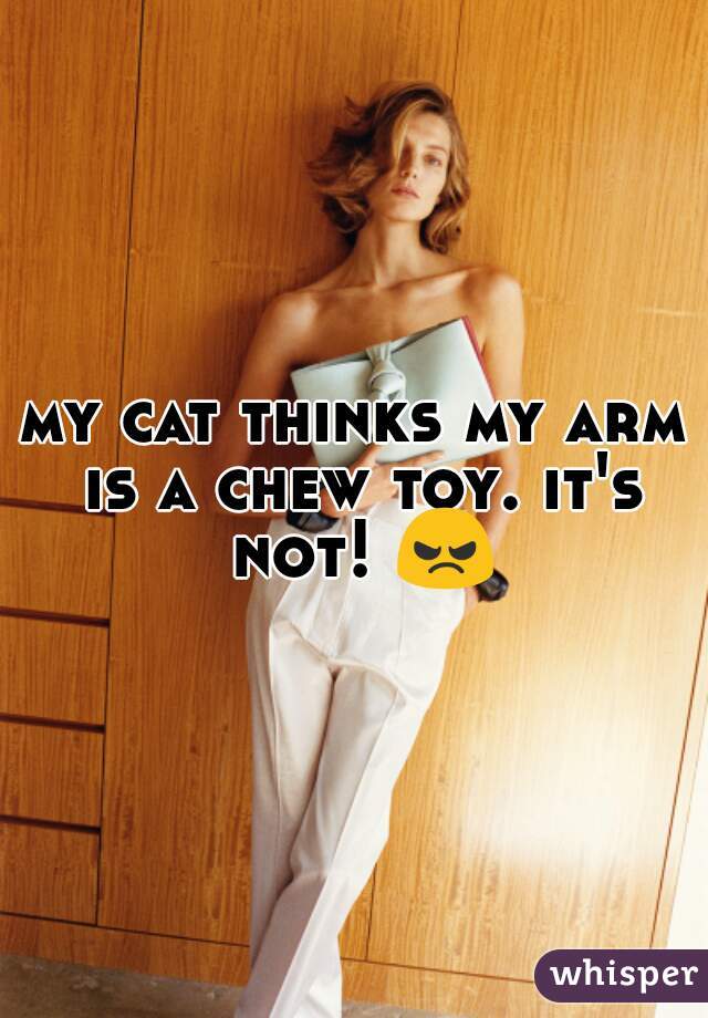 my cat thinks my arm is a chew toy. it's not! 😠