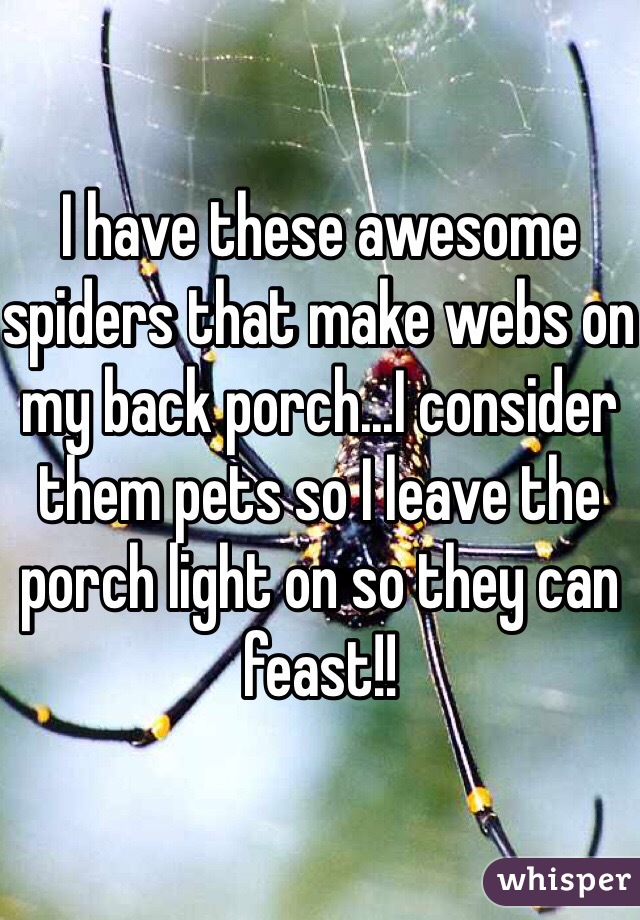 I have these awesome spiders that make webs on my back porch...I consider them pets so I leave the porch light on so they can feast!!