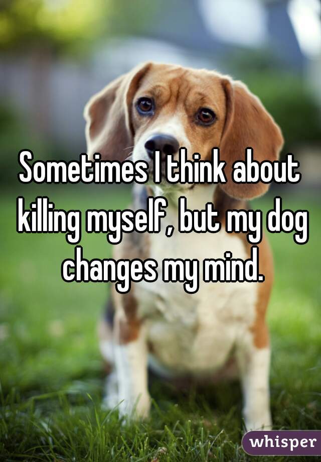 Sometimes I think about killing myself, but my dog changes my mind.