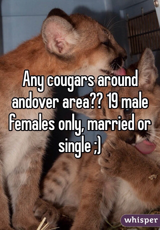 Any cougars around andover area?? 19 male females only, married or single ;)