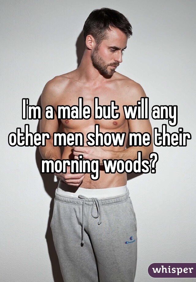 I'm a male but will any other men show me their morning woods?