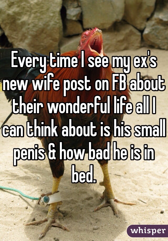 Every time I see my ex's new wife post on FB about their wonderful life all I can think about is his small penis & how bad he is in bed.