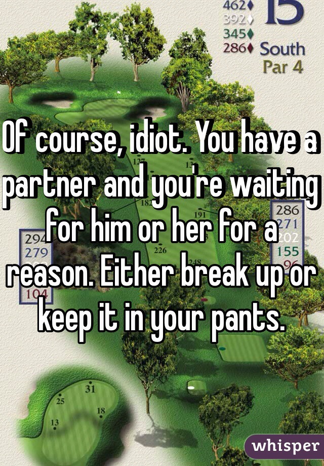 Of course, idiot. You have a partner and you're waiting for him or her for a reason. Either break up or keep it in your pants.