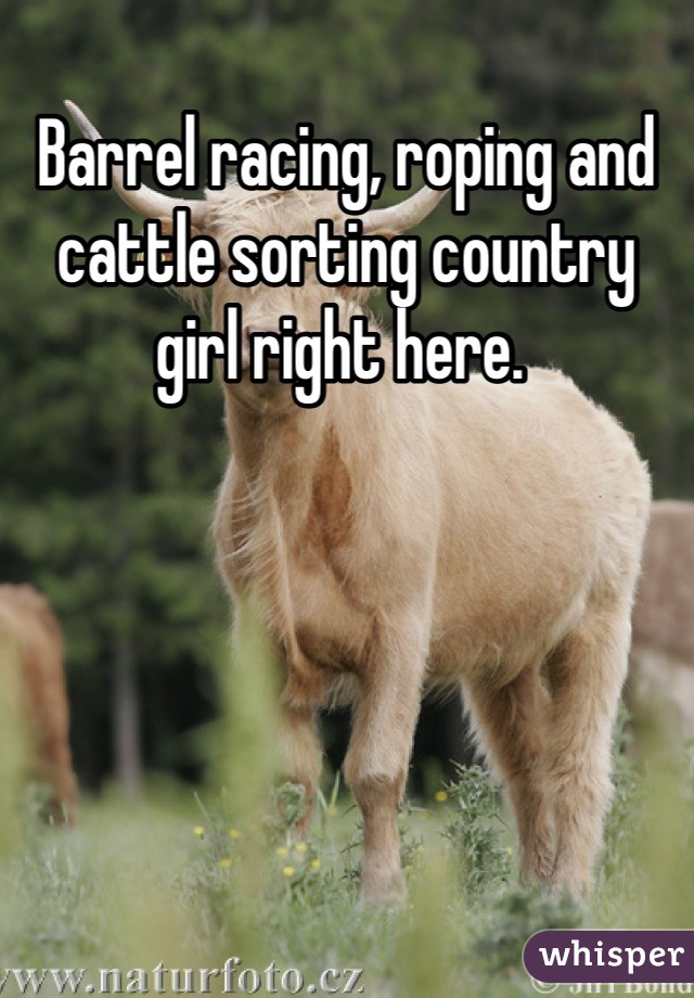 Barrel racing, roping and cattle sorting country girl right here. 