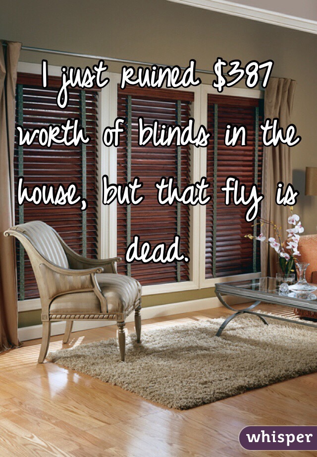 I just ruined $387 worth of blinds in the house, but that fly is dead.
