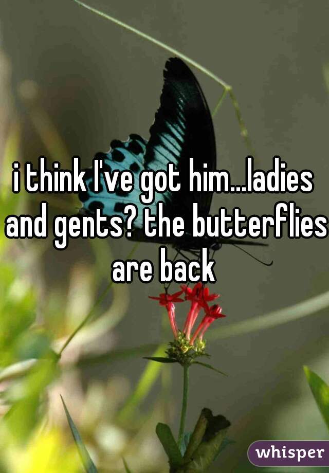 i think I've got him...ladies and gents? the butterflies are back 