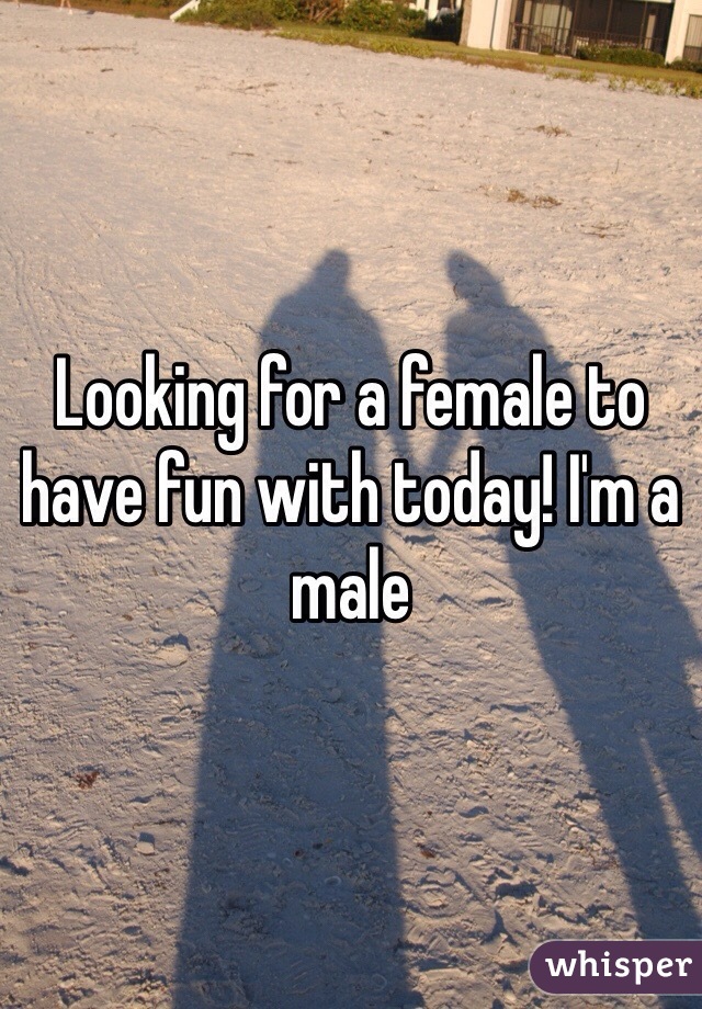 Looking for a female to have fun with today! I'm a male
