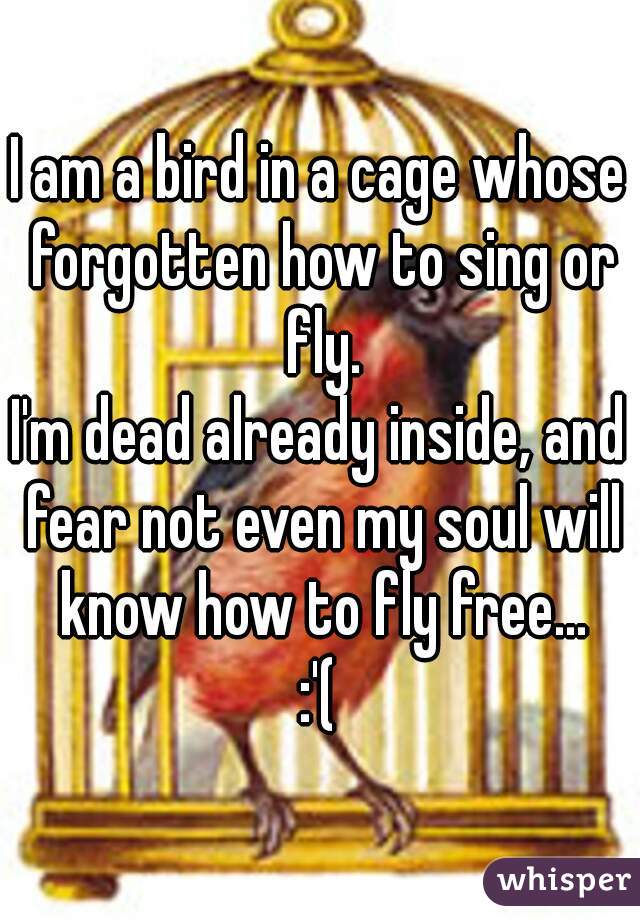 I am a bird in a cage whose forgotten how to sing or fly.
I'm dead already inside, and fear not even my soul will know how to fly free...
:'(