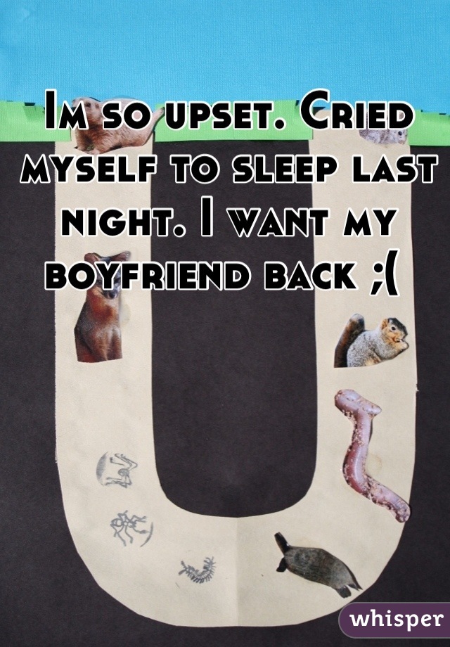 Im so upset. Cried myself to sleep last night. I want my boyfriend back ;( 