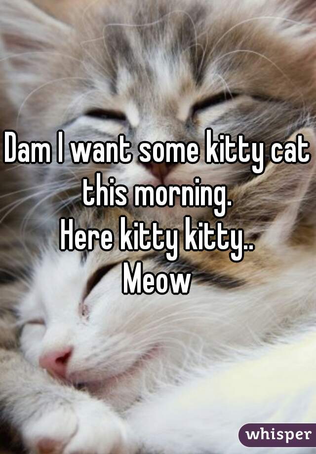 Dam I want some kitty cat this morning. 
Here kitty kitty..
Meow
