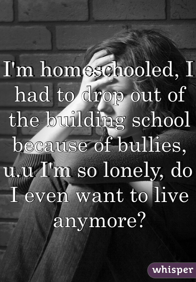 I'm homeschooled, I had to drop out of the building school because of bullies, u.u I'm so lonely, do I even want to live anymore?   
