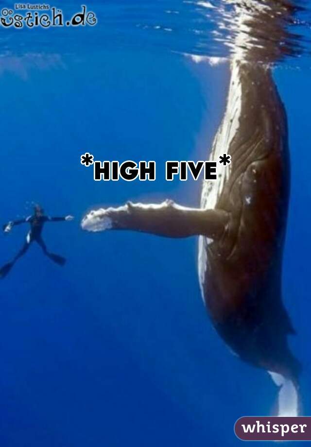 *high five* 

 