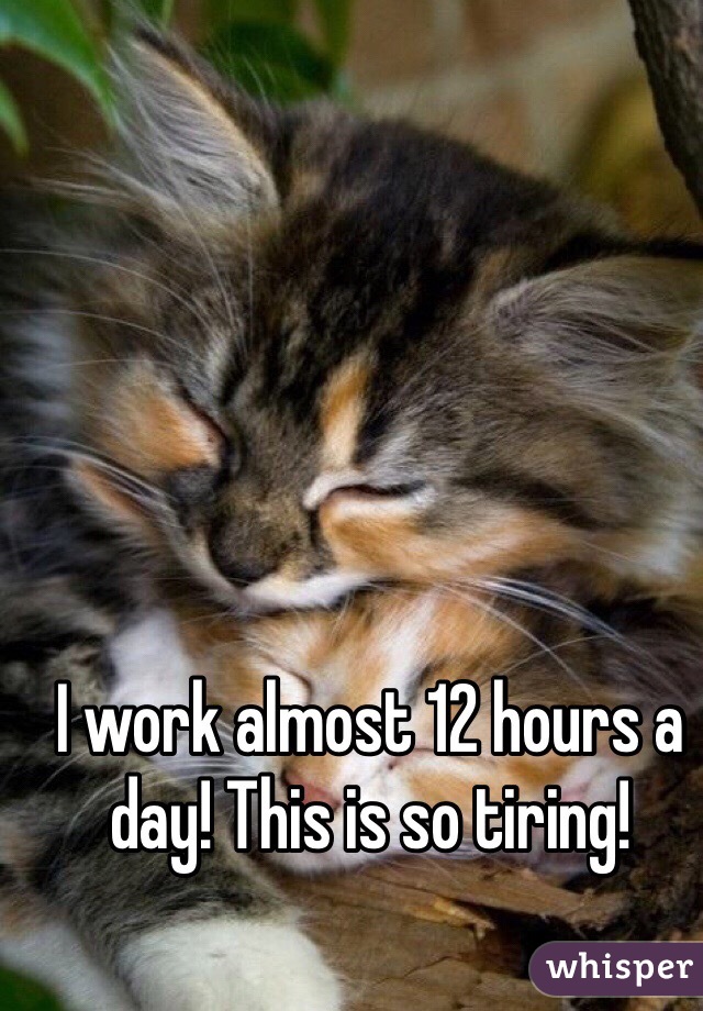 I work almost 12 hours a day! This is so tiring!