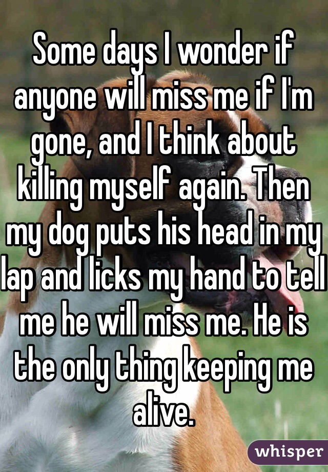 Some days I wonder if anyone will miss me if I'm gone, and I think about killing myself again. Then my dog puts his head in my lap and licks my hand to tell me he will miss me. He is the only thing keeping me alive.