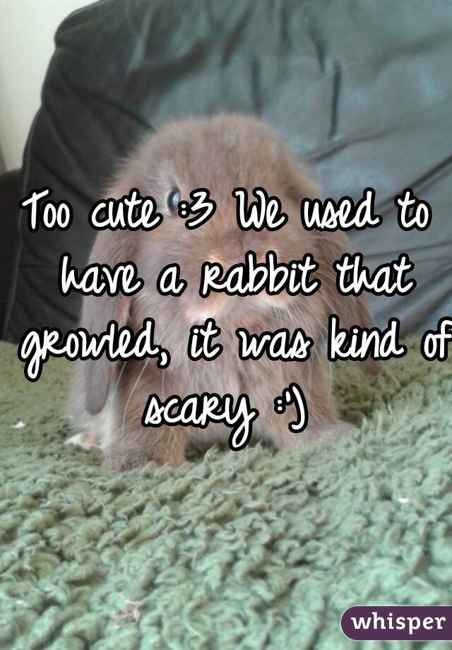 Too cute :3 We used to have a rabbit that growled, it was kind of scary :') 