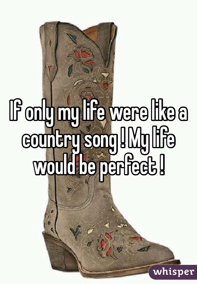 If only my life were like a country song ! My life would be perfect !