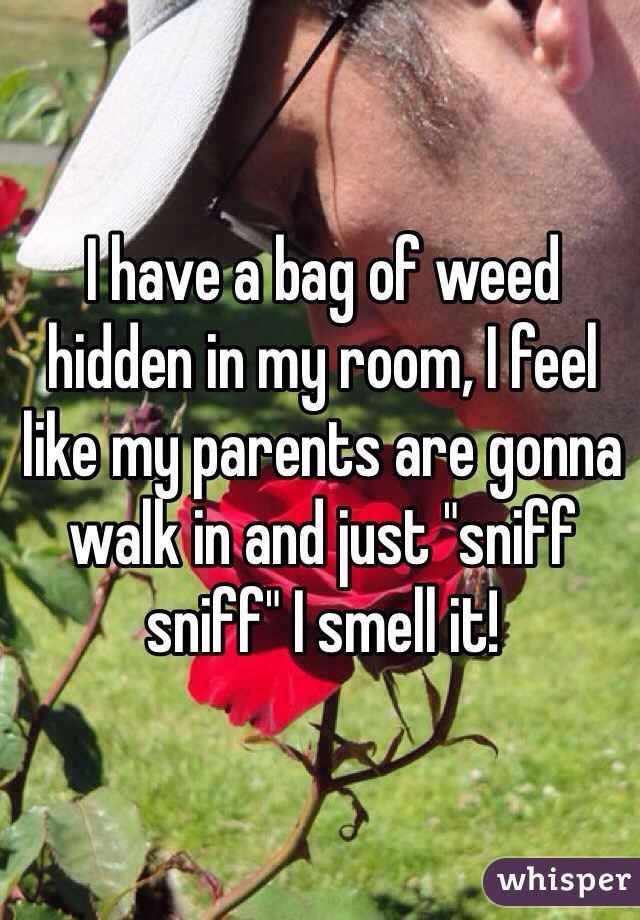 I have a bag of weed hidden in my room, I feel like my parents are gonna walk in and just "sniff sniff" I smell it! 