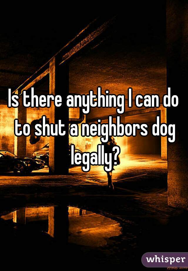 Is there anything I can do to shut a neighbors dog legally?