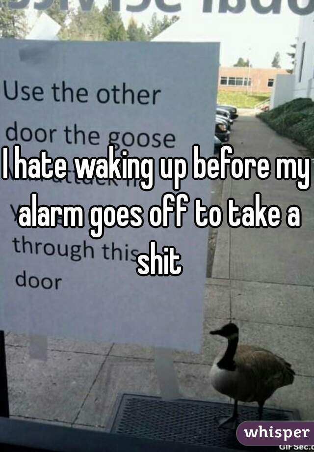 I hate waking up before my alarm goes off to take a shit