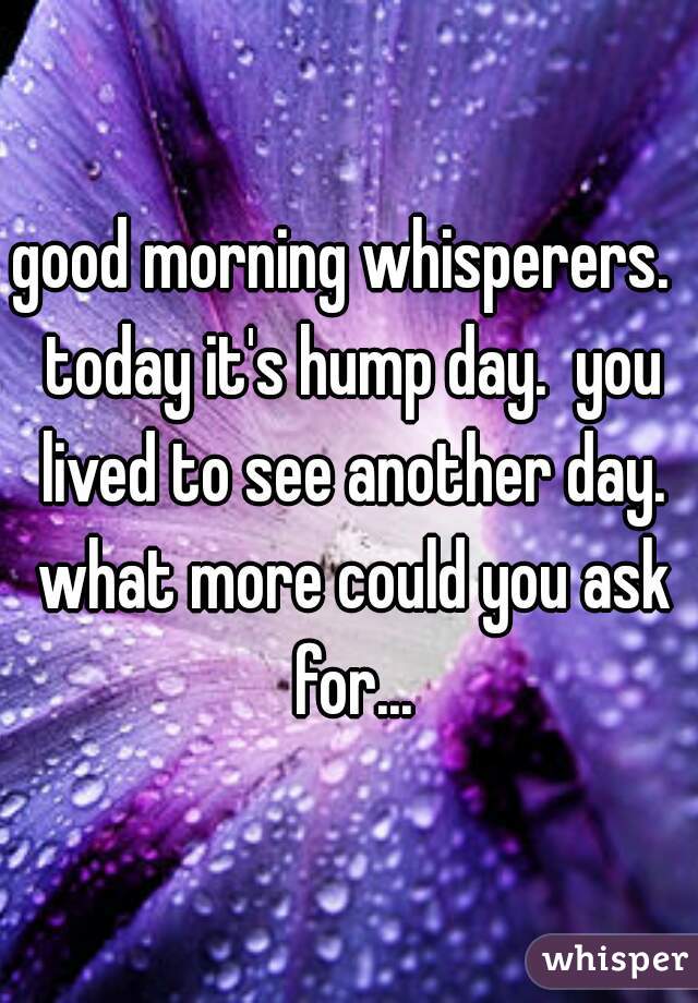 good morning whisperers.  today it's hump day.  you lived to see another day. what more could you ask for...