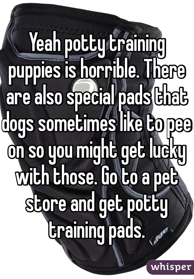 Yeah potty training puppies is horrible. There are also special pads that dogs sometimes like to pee on so you might get lucky with those. Go to a pet store and get potty training pads. 