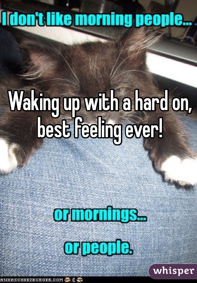 Waking up with a hard on, best feeling ever! 