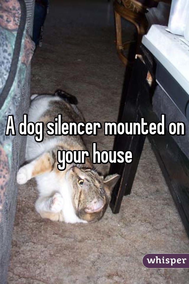A dog silencer mounted on your house