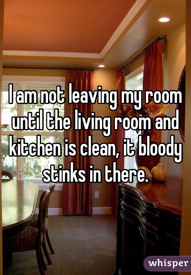 I am not leaving my room until the living room and kitchen is clean, it bloody stinks in there. 
