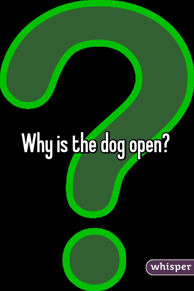 Why is the dog open? 